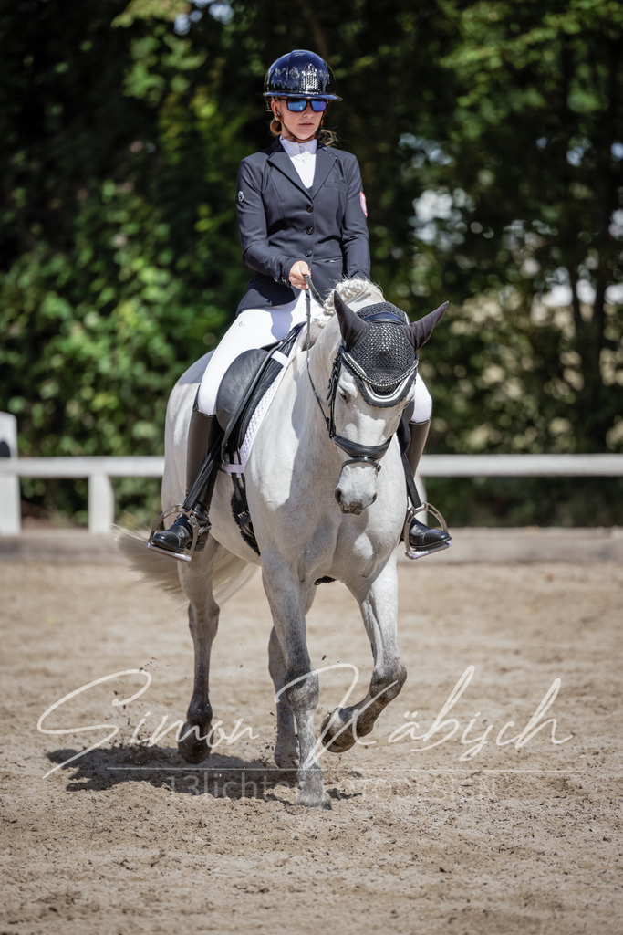 20250906-_3LI5624 | Tierfotografie Pferde, Hunde, Katzen, Haustiere.
Turnierfotografie Reitturniere, Reiten, Springreiten, Dressur in Hanau, dem Main-Kinzig-Kreis und dem Rhein-Main- Gebiet um Frankfurt