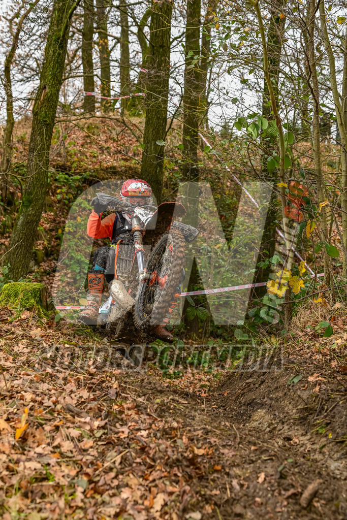 NZ8_4893 | grenznic640