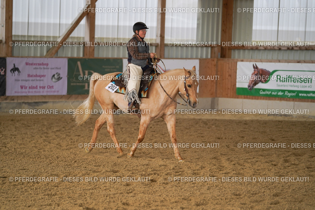 DSC00929 | Pferdegrafie