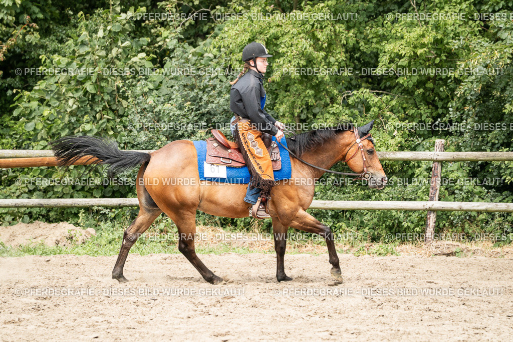 DSC01675 | Pferdegrafie