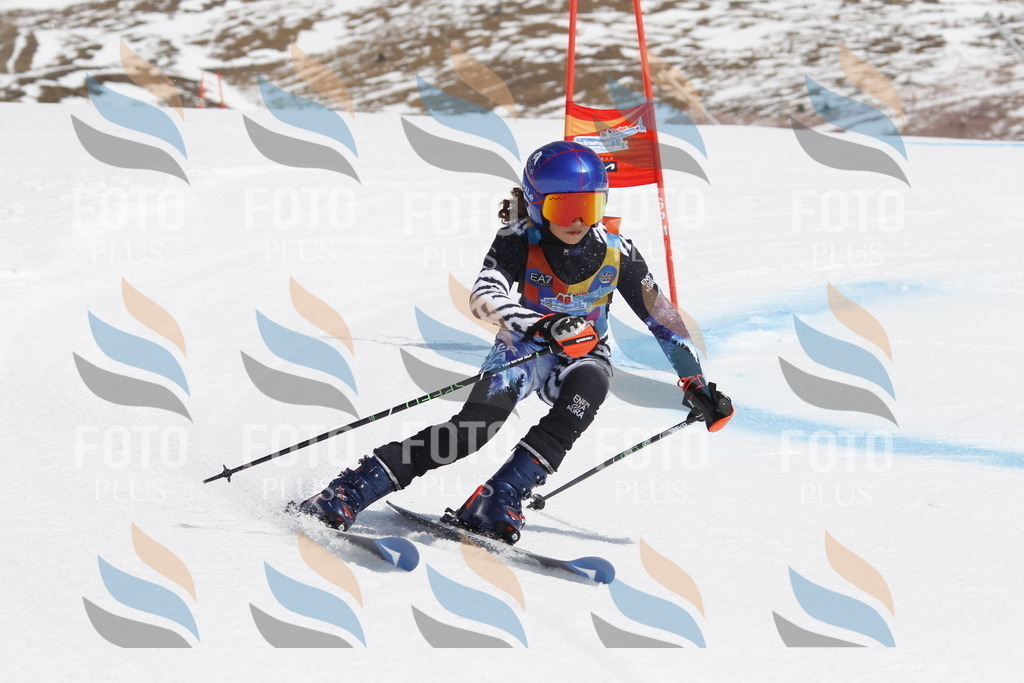 _U3G1643 | holidayphoto