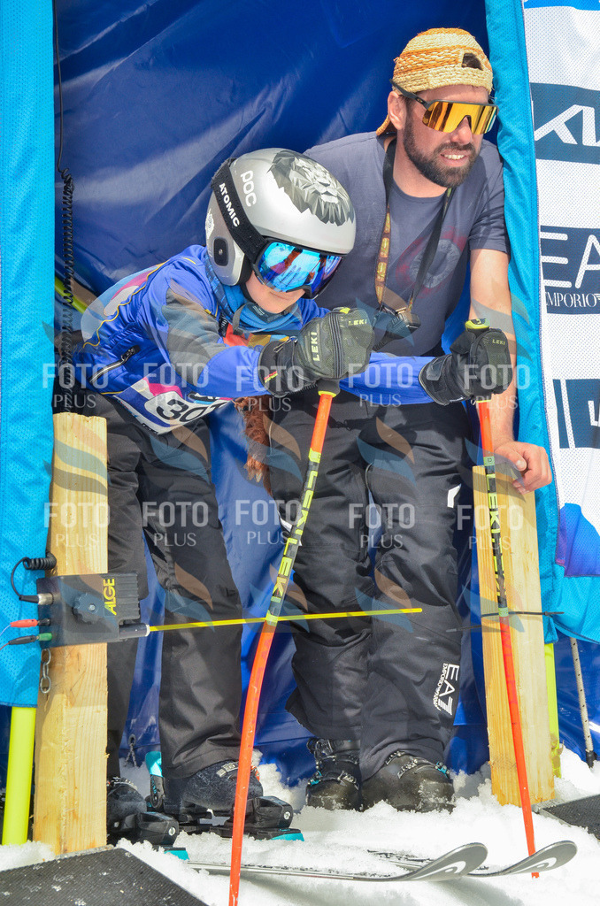 _ELE8244 | holidayphoto