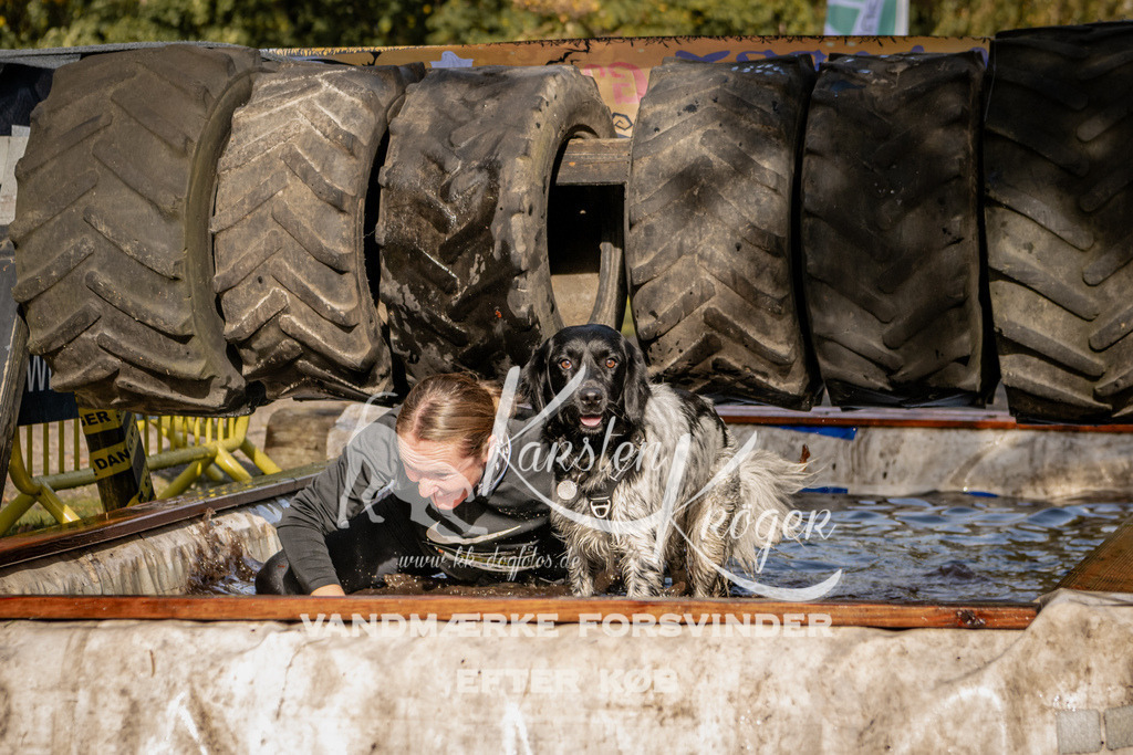 1300_ZZ91585 | kk-dogfotos