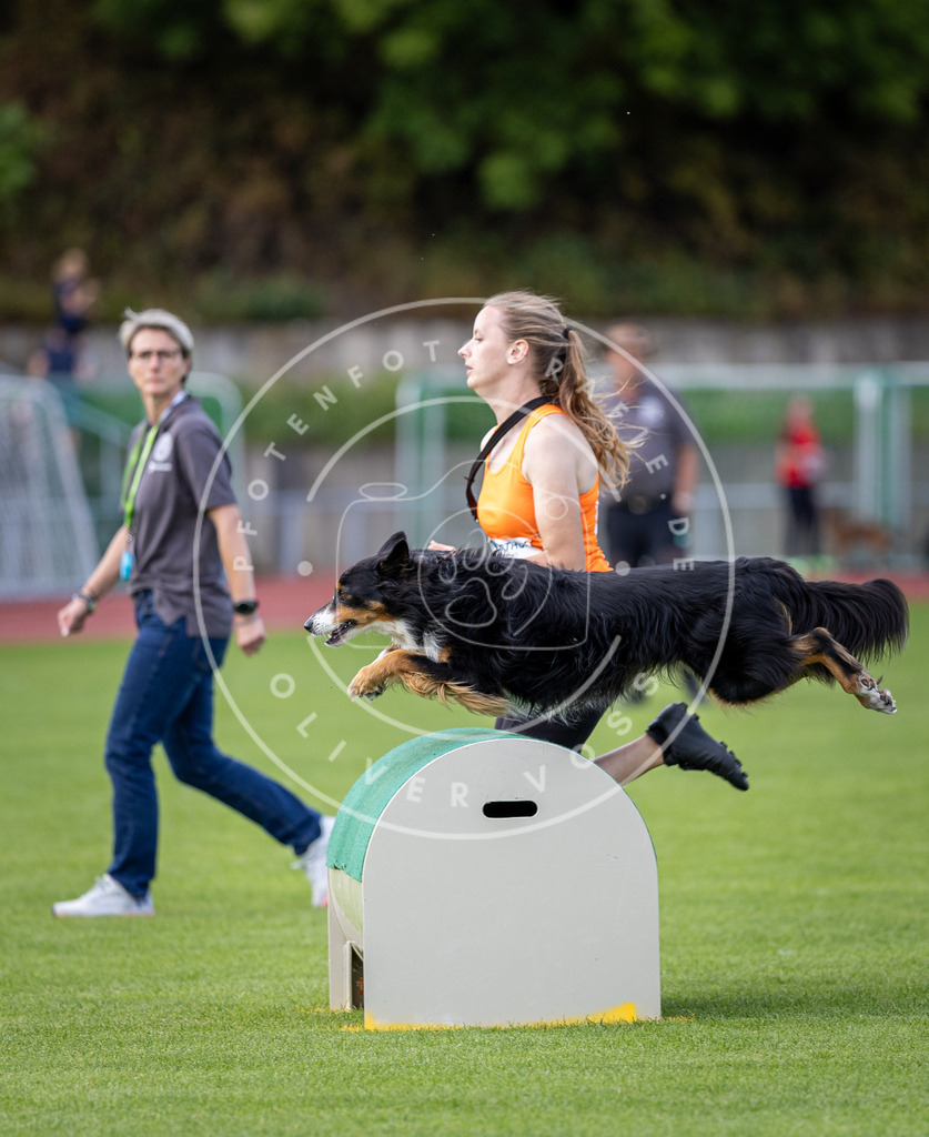 Pfotenfotografie_DV3A3245 | Hundefotografie, Tierfotograf, Pfotenfotografie, Fotoshooting Hund, Hunde Portrait, Hundesport, Hundeportraits, Heideshooting, Hunde, Sportfotograf, Hundefotograf, Turnierhundsport, THS,  - Realisiert mit Pictrs.com