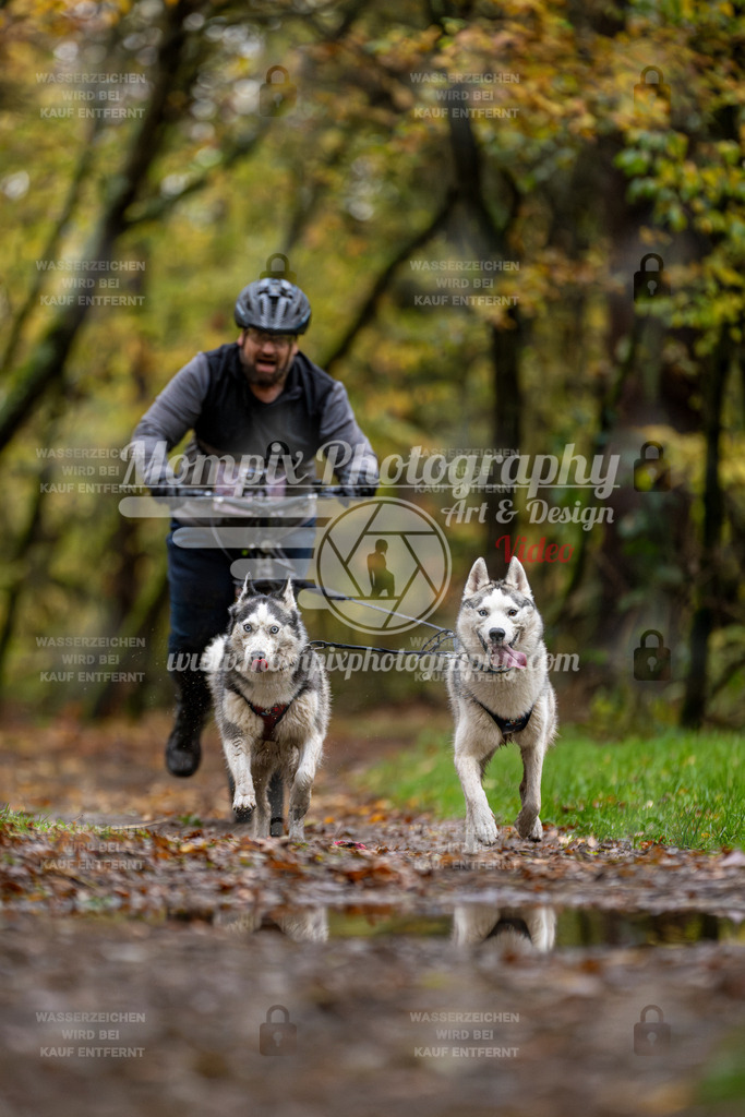 MompixPhotography_Bischwiller23_DS2-23 | mompixphotography