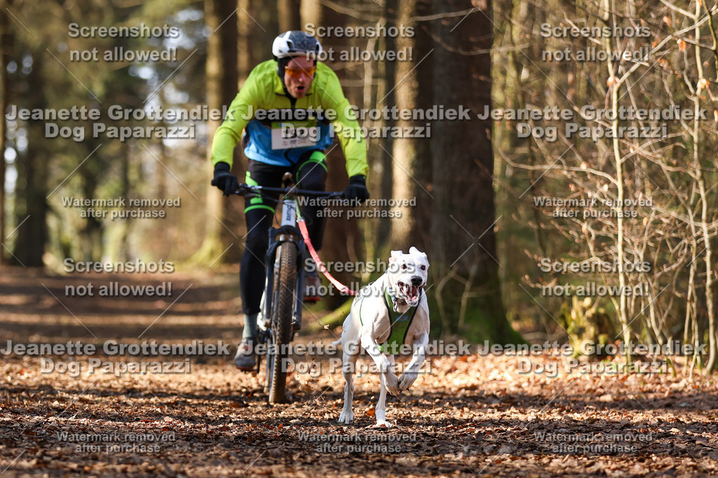 Dog Paparazzi - VCC26-998 | Dog Paparazzi Jeanette Grottendiek Fotografie & Videografie - Realisiert mit Pictrs.com