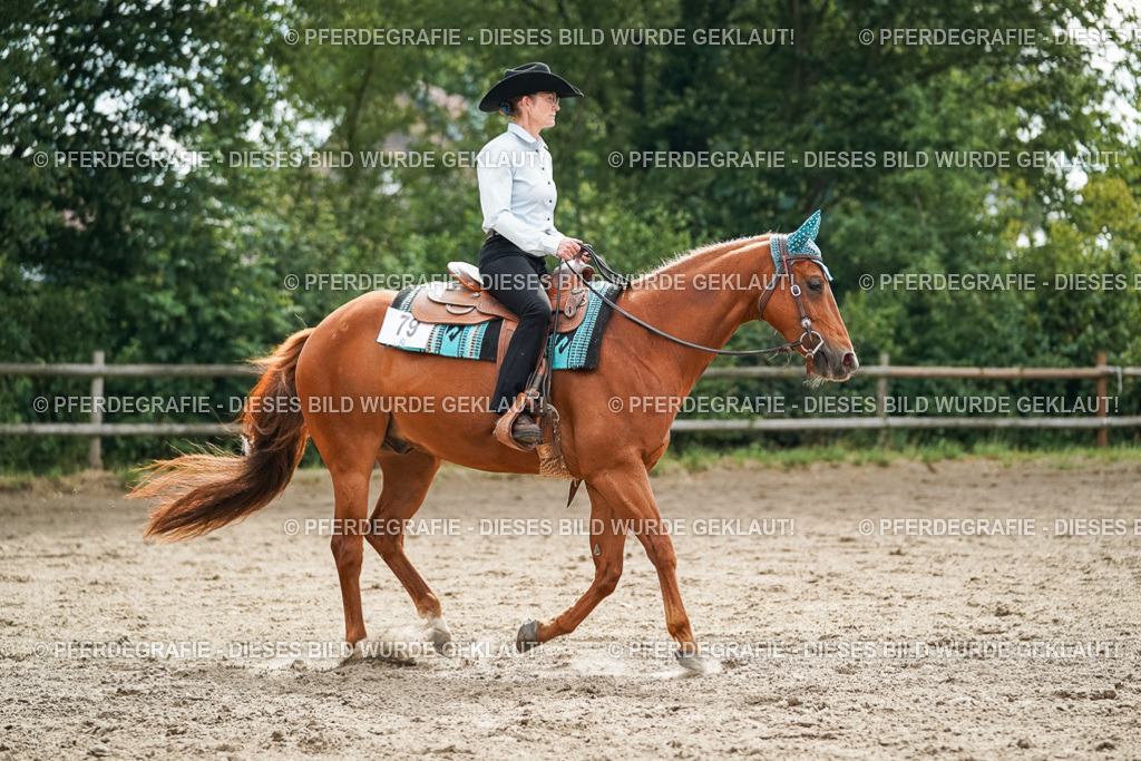 DSC03856 | Pferdegrafie