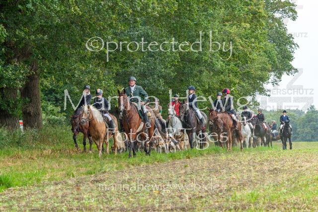 Jagd Perdoel_MarinaHewigMCH03924 | Fotografie, FotoArt, PferdesportArt, Pferdesportfotografie, Landschaftsfotografie, Reisefotografie, Reise, Pferde - Realisiert mit Pictrs.com