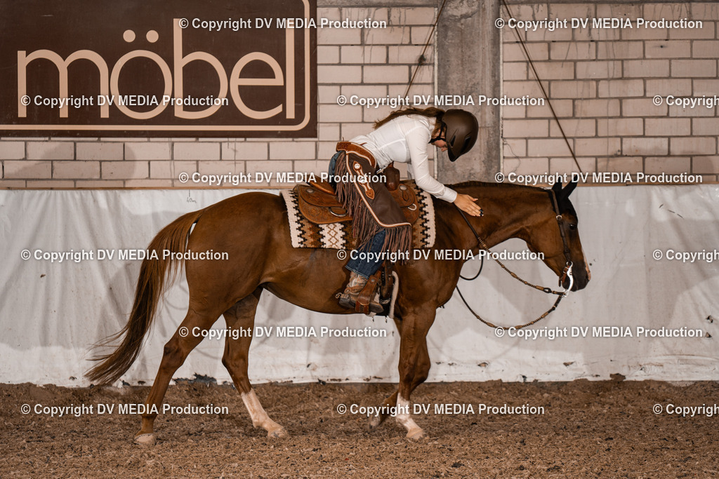 ZH300581 | dv-media-shop - Realisiert mit Pictrs.com