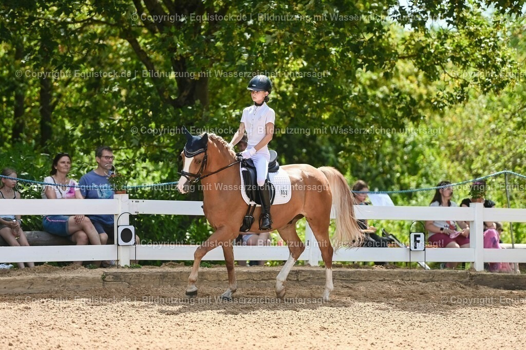 20230715_09_Dressur-WB_0274 | equistock