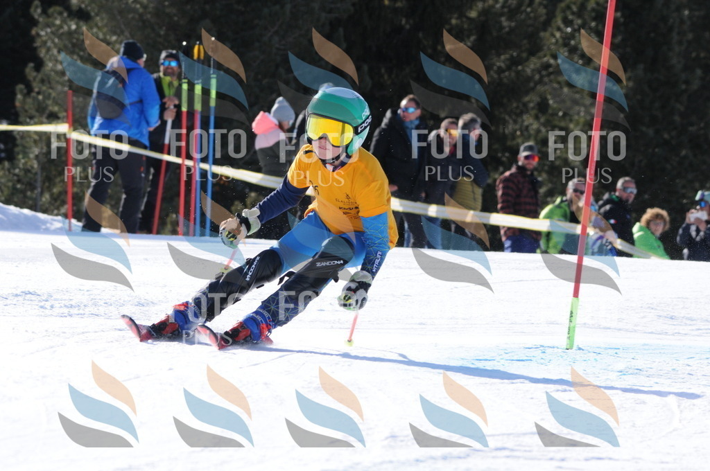 C7066 | holidayphoto