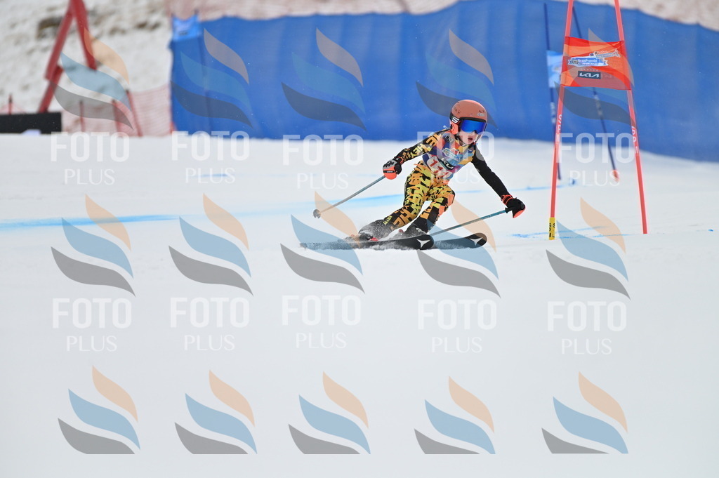 BGV_9432 | holidayphoto