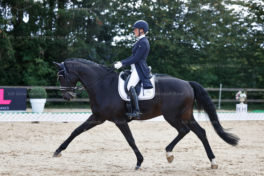 10-115-ST.GEORG SPECIAL -StoibPH-3185 | working equitationturnier fotograf videograf stoibphotography marixx film working equitation deutschland reitsport turnierfotografie eventfotografie equestrian events