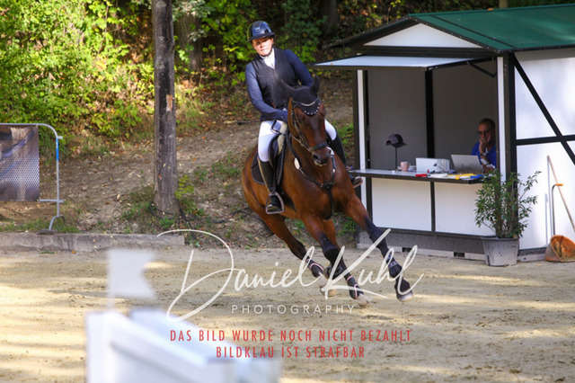 DKP42441 | Deine Turnierfotos vom Reitturnier online kaufen: Dressur, Springen & Siegerehrung. Professionelle Pferdefotografie aus dem Rheinland – als Download & Print.Alternative: Turnierfotograf für den Pferdesport: Finde deine Fotos von Dressur- und Springturnier