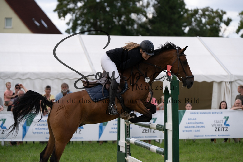 A7V04884 | Turnier/Reitfotograf