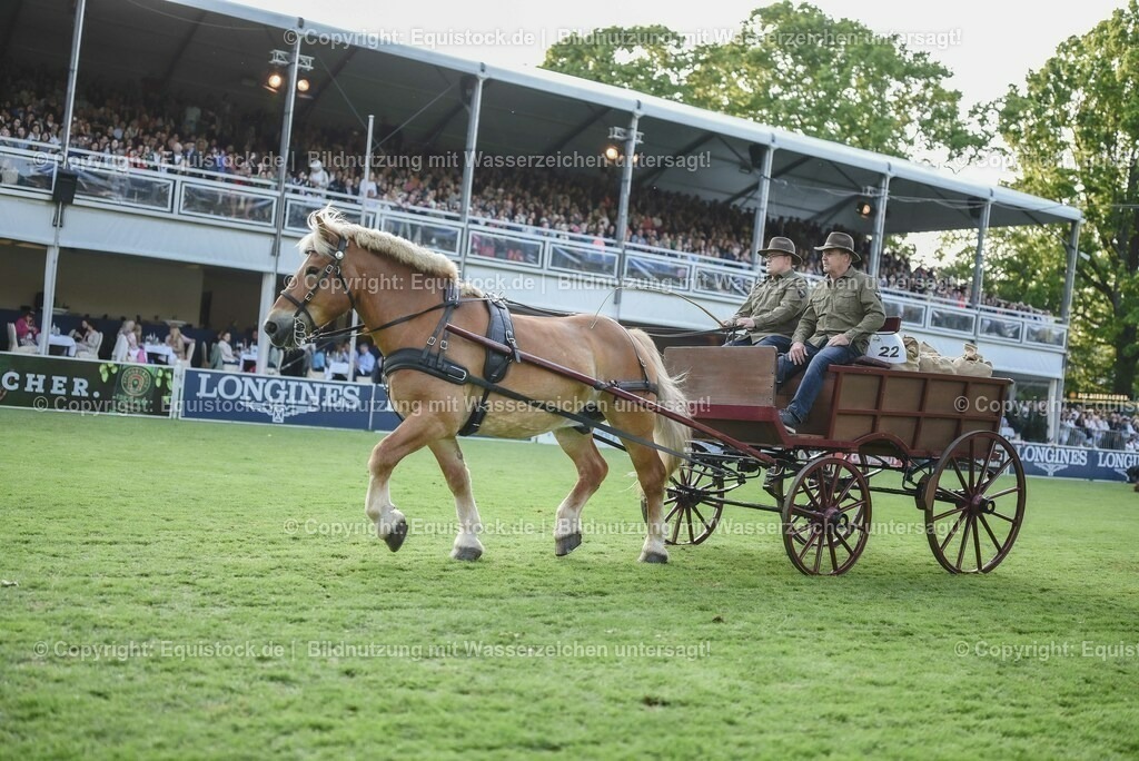 20230526_Pferdenacht_0207 | equistock