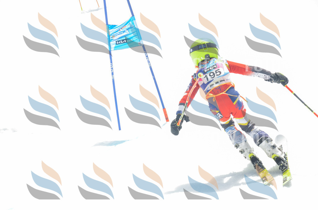 _ELE6848 | holidayphoto