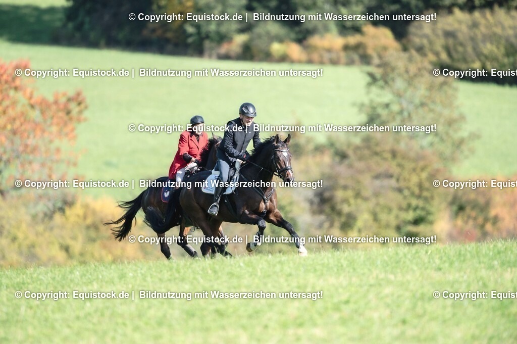 20251011_Jagd-Marbach_0343 | Foto: Thomas Hartig