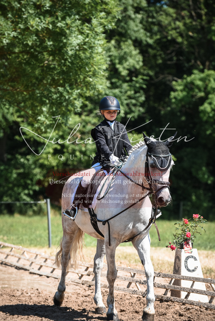 DSC_3083 | Pferde- und Turnierfotografie in Westsachsen. Pferdeportraits, Auftragszeichnungen und intuitive Kunst.