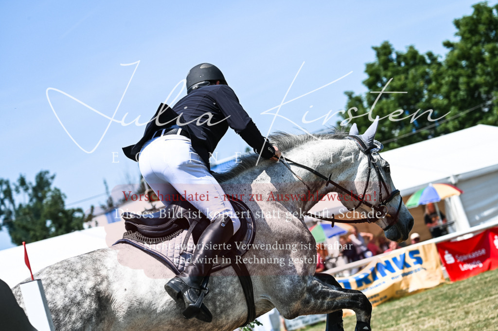 DSC_0035 | Pferde- und Turnierfotografie in Westsachsen. Pferdeportraits, Auftragszeichnungen und intuitive Kunst.