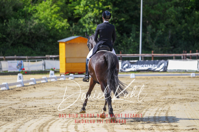 DKP46474 | Turniersportfotografie; Pferdefotografie; Dressurfotografie