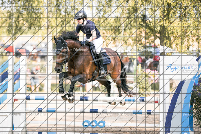 _W6A2444 | ronjaprokoschfotografie - Realisiert mit Pictrs.com