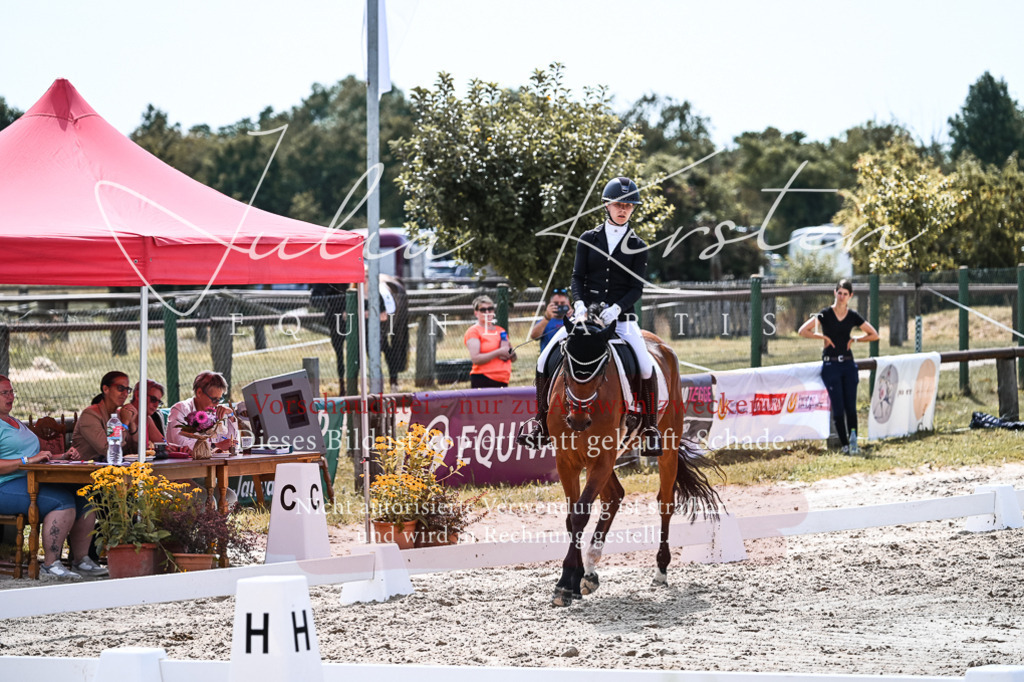 DSC_5152 | Pferde- und Turnierfotografie in Westsachsen. Pferdeportraits, Auftragszeichnungen und intuitive Kunst.