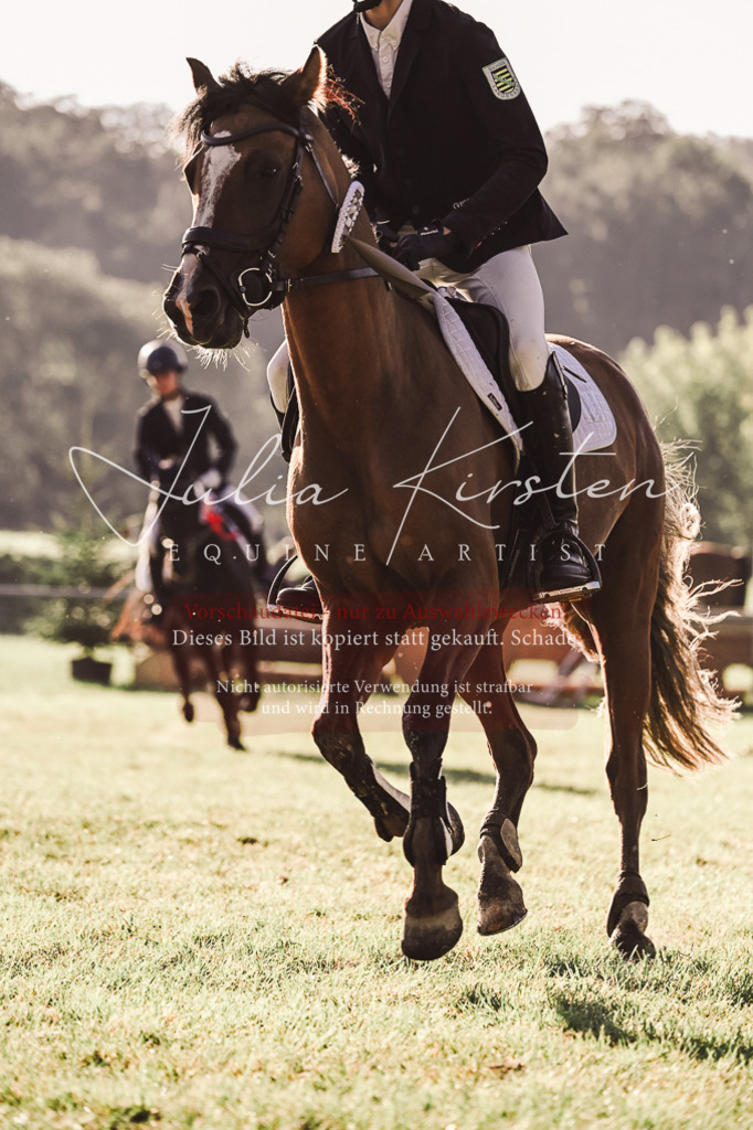 DSC_4581 | Pferde- und Turnierfotografie in Westsachsen. Pferdeportraits, Auftragszeichnungen und intuitive Kunst.