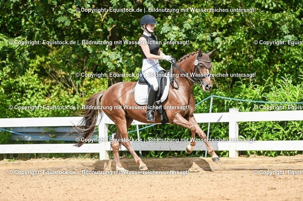20230716_01_Dressurprüfung Kl.M_0343 | equistock