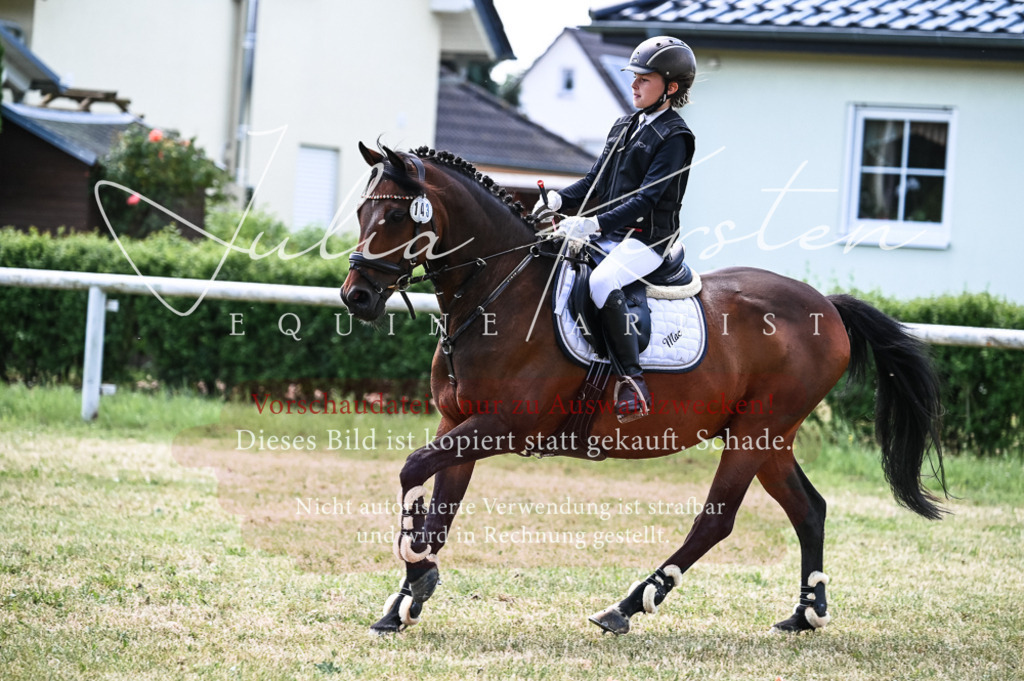 DSC_9638 | Pferde- und Turnierfotografie in Westsachsen. Pferdeportraits, Auftragszeichnungen und intuitive Kunst.