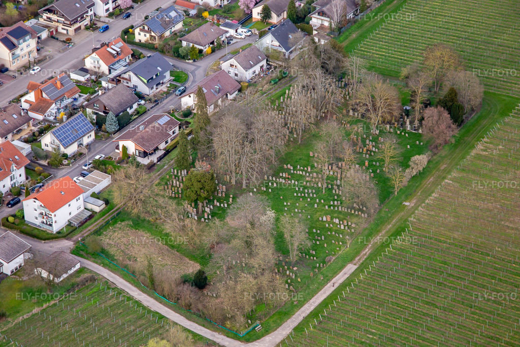 Luftbild: Jüdischer Friedhof Ingenheim im Ortsteil Ingenheim in Billigheim-Ingenheim im Bundesland Rheinland-Pfalz in Deutschland. Foto: IMG_140092.jpg vom 14.03.2024 durch Werner Riehm/FLY-FOTO.deLANDAU-LAND.DE
