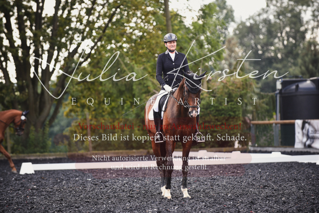 DSC_4020 | Pferde- und Turnierfotografie in Westsachsen. Pferdeportraits, Auftragszeichnungen und intuitive Kunst.
