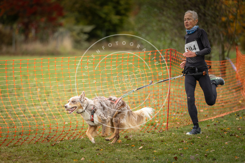 Pfotenfotografie_DV3A4176 | Hundefotografie, Tierfotograf, Pfotenfotografie, Fotoshooting Hund, Hunde Portrait, Hundesport, Hundeportraits, Heideshooting, Hunde, Sportfotograf, Hundefotograf, Turnierhundsport, THS,  - Realisiert mit Pictrs.com