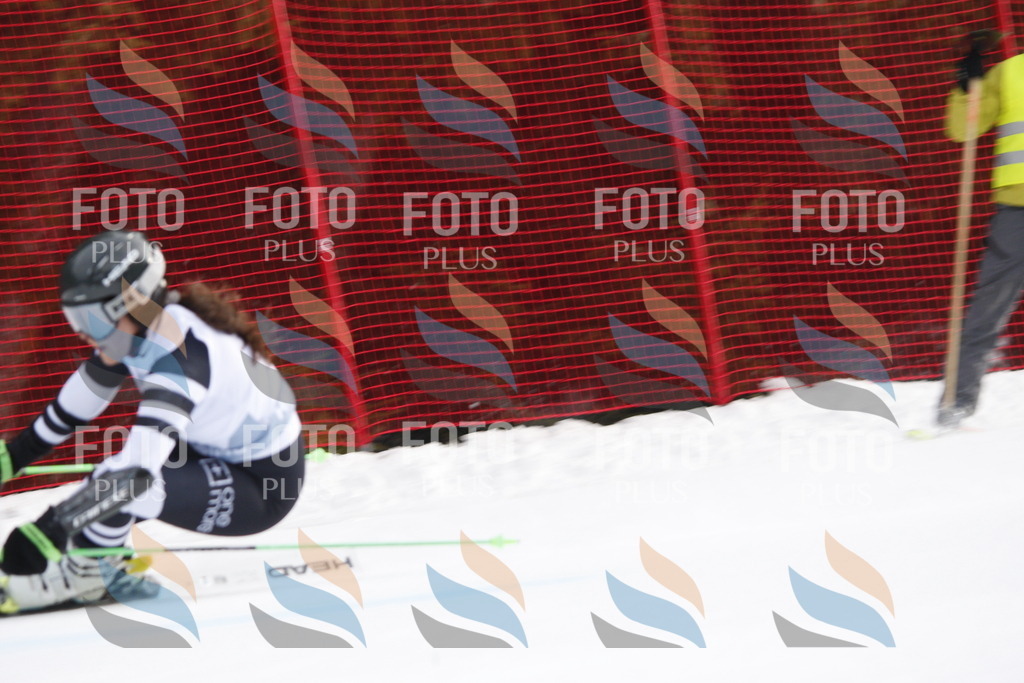 D4784 | holidayphoto