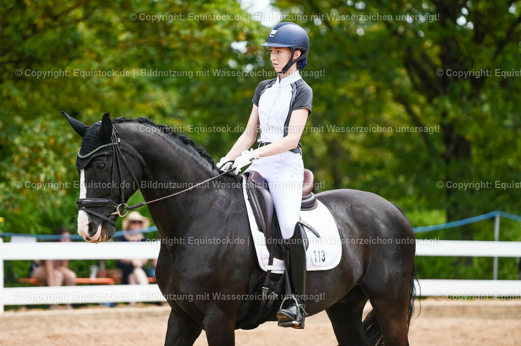 20230715_05_Dressurprüfung Kl.A++_0134 | equistock