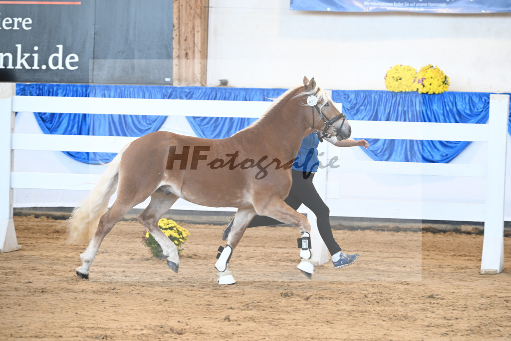 Kat-Nr. 20 nn v. Nakuri_Linder_48250393 | hf-fotografie - Realisiert mit Pictrs.com