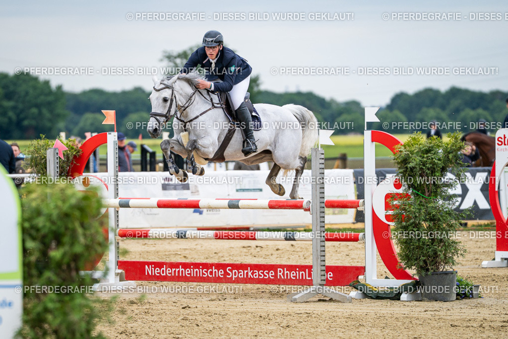 DSC06034 | Pferdegrafie