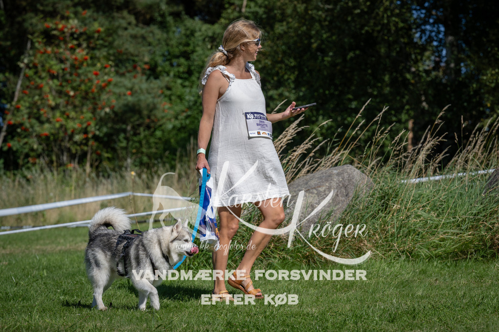 1130_ZZ91791 | kk-dogfotos