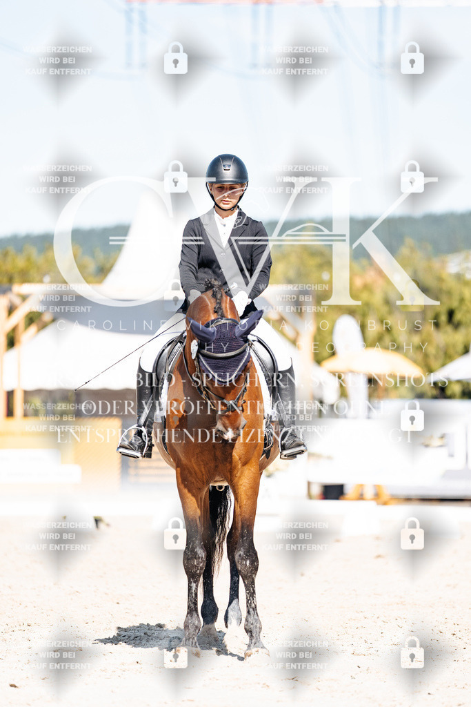 CK908632 | Turnierfotografie Pferdefotografie Trier Rheinland-Pfalz Pferdesport Reitsport Tierfotografie Sportfotografie Pferdevideo Pferdevideografie Equestrianvideography equestrianphotography  - Realisiert mit Pictrs.com