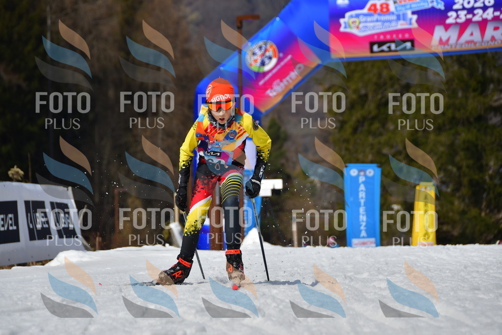 _DSC0915 | holidayphoto