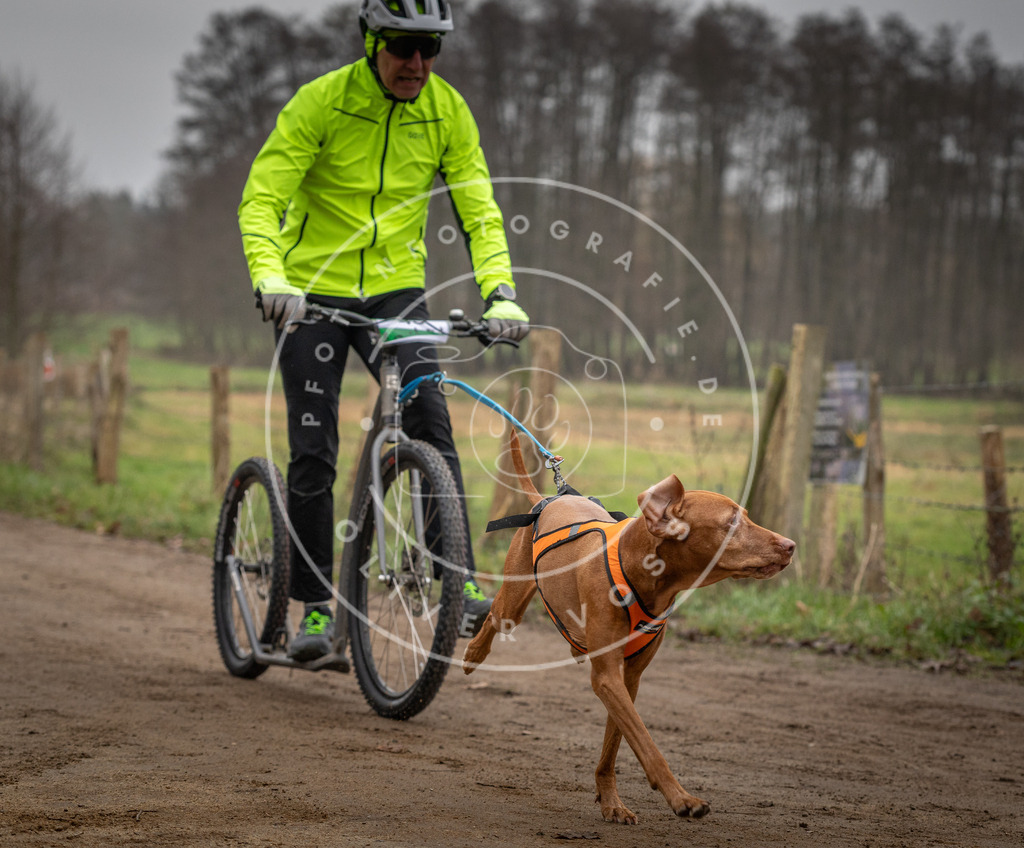 Pfotenfotografie_DV3A2668 | Hundefotografie, Tierfotograf, Pfotenfotografie, Fotoshooting Hund, Hunde Portrait, Hundesport, Hundeportraits, Heideshooting, Hunde, Sportfotograf, Hundefotograf, Turnierhundsport, THS,  - Realisiert mit Pictrs.com