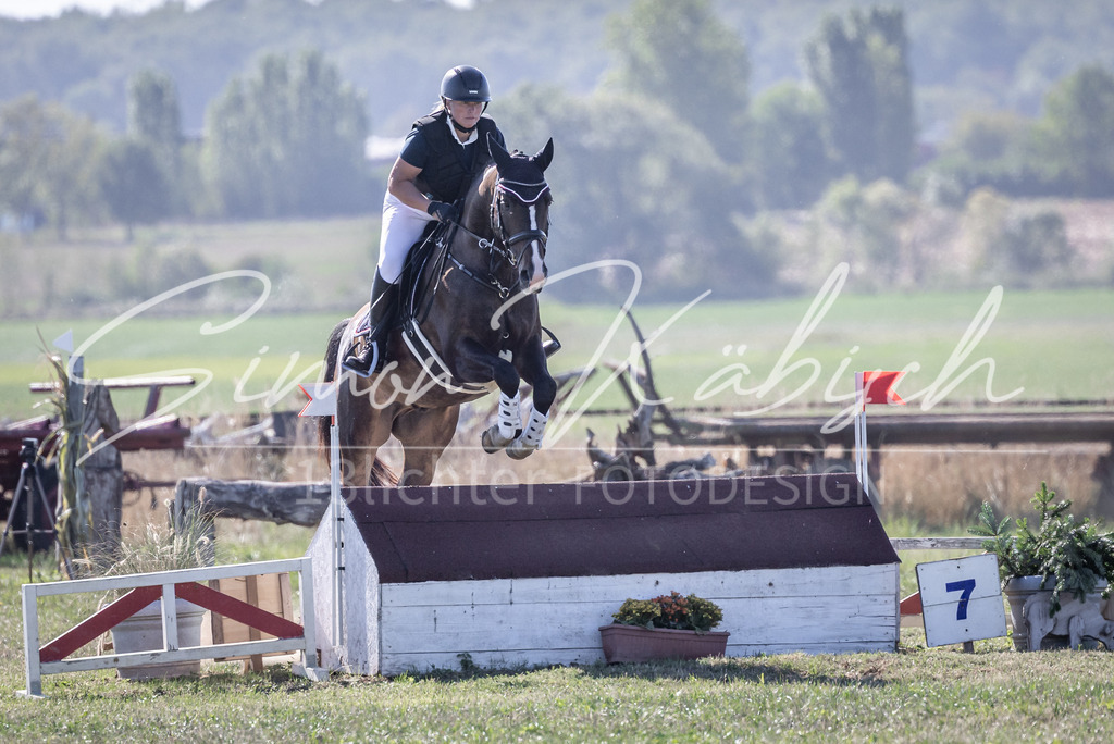 20260906-_3LI2191 | Tierfotografie Pferde, Hunde, Katzen, Haustiere.
Turnierfotografie Reitturniere, Reiten, Springreiten, Dressur in Hanau, dem Main-Kinzig-Kreis und dem Rhein-Main- Gebiet um Frankfurt