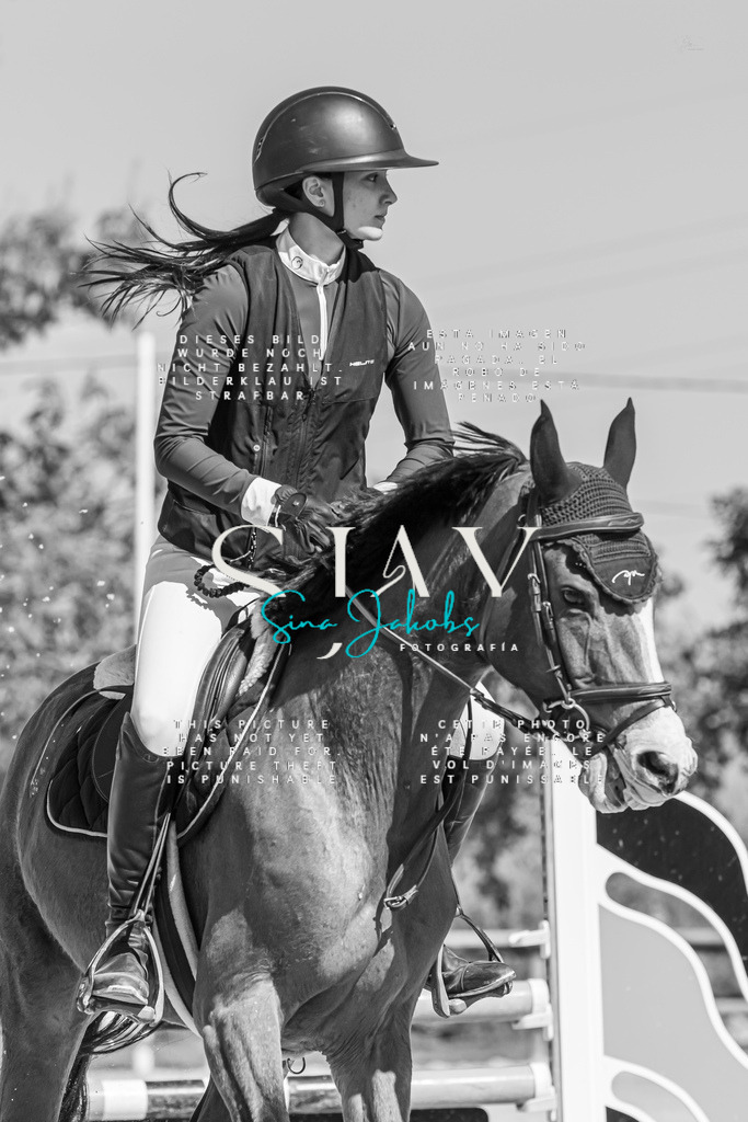 IMG_0795 | s-jay-photography - Realisiert mit Pictrs.com