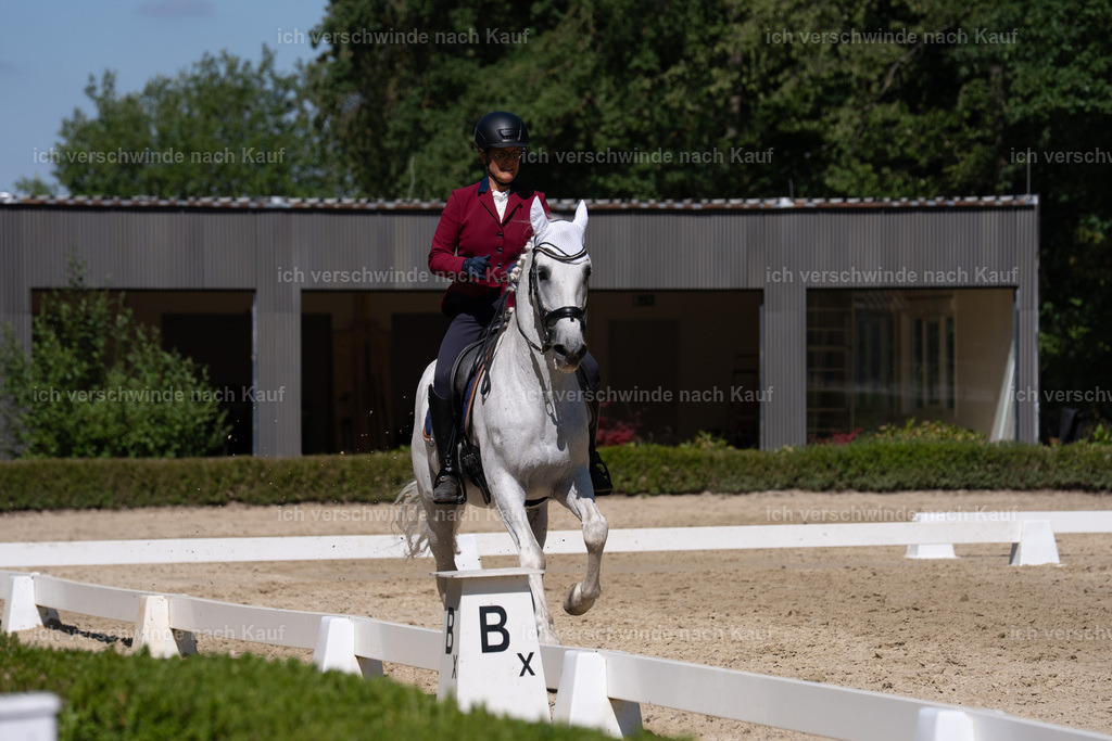 WS_DR_57_sinafilmart_IN03610 | working equitationturnier fotograf videograf stoibphotography marixx film working equitation deutschland reitsport turnierfotografie eventfotografie equestrian events
