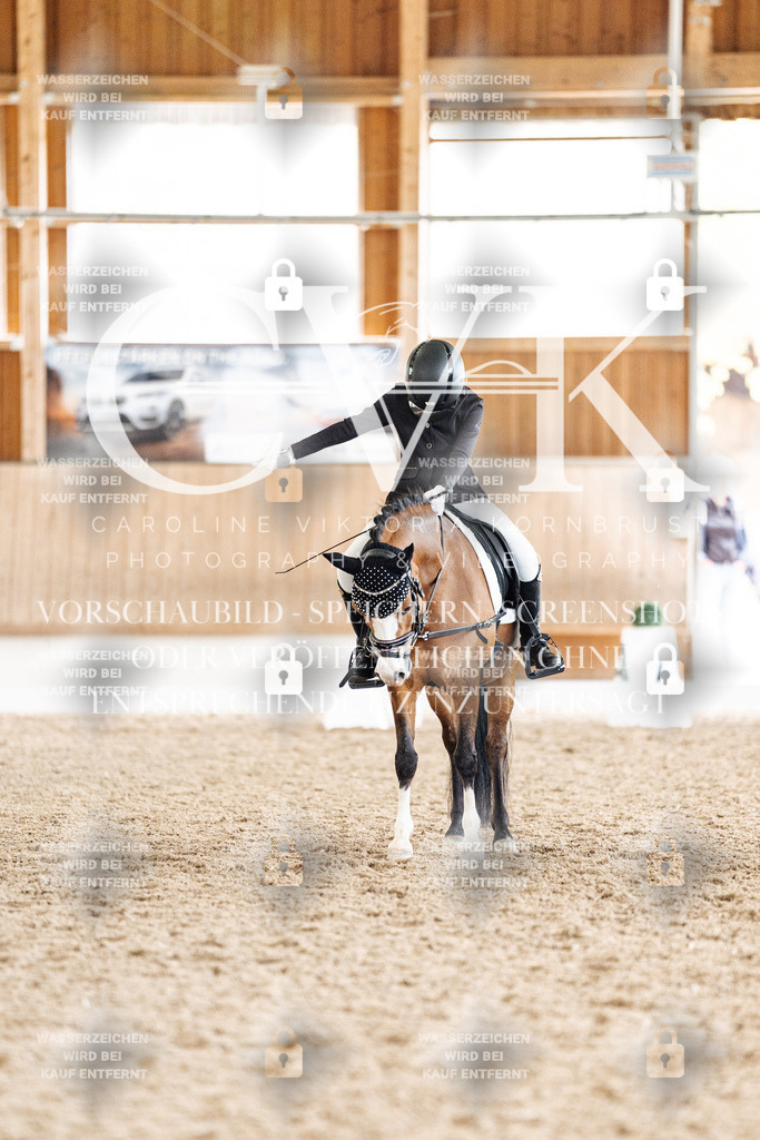 CK901467 | Turnierfotografie Pferdefotografie Trier Rheinland-Pfalz Pferdesport Reitsport Tierfotografie Sportfotografie Pferdevideo Pferdevideografie Equestrianvideography equestrianphotography  - Realisiert mit Pictrs.com