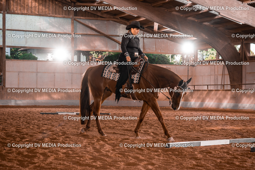 NE200099 | dv-media-shop - Realisiert mit Pictrs.com