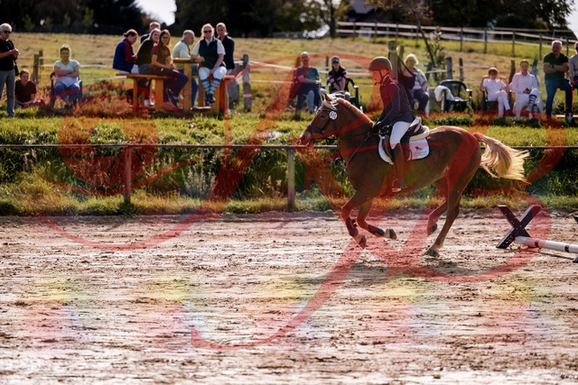 2026_10_03_Siefer-Hof_144706_Z81_23814458 | Professionelle Reitsport-, Turnier- und Eventfotografie von Robert Broda. Galerien mit ausgewählten und bearbeiteten Bildern direkt online ansehen und bestellen.