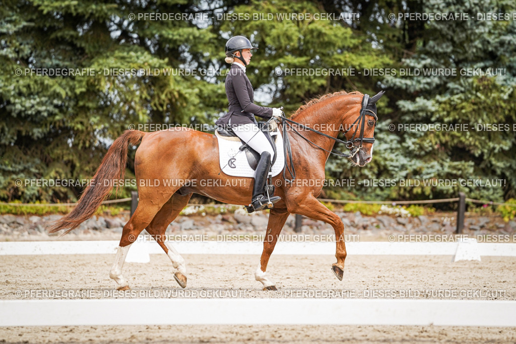 DSC05241 | Pferdegrafie