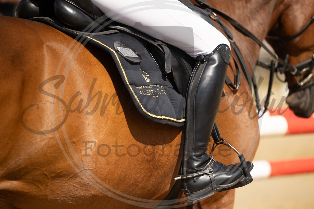 994A8195 | sabrinanicolaifotografie - Realisiert mit Pictrs.com