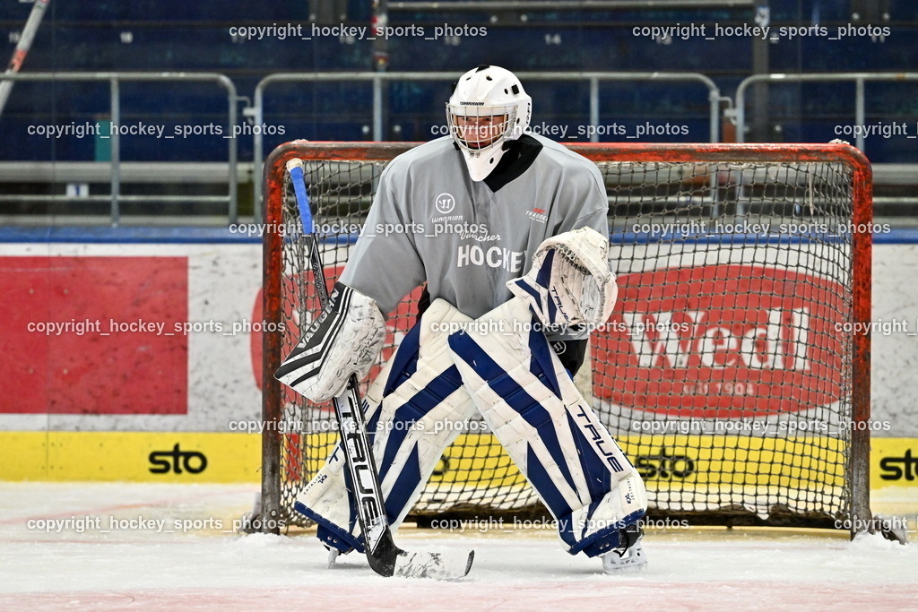 Z9B_3567 | hockey sports photos, Pressefotos, Sportfotos, hockey247, win 2day icehockeyleague, Handball Austria, Floorball Austria, ÖVV, Kärntner Eishockeyverband, KEHV, KFV, Kärntner Fussballverband, Österreichischer Volleyballverband, Alps Hockey League, ÖFB, 